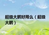 超级大鹏好用么（超级大鹏）