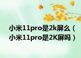 小米11pro是2k屏么（小米11pro是2K屏吗）