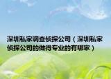 深圳私家调查侦探公司（深圳私家侦探公司的做得专业的有哪家）