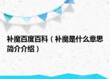 补魔百度百科（补魔是什么意思简介介绍）