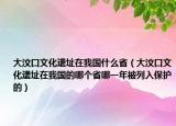 大汶口文化遗址在我国什么省（大汶口文化遗址在我国的哪个省哪一年被列入保护的）