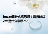 buzze是什么意思啊（请问BUZZ!!!是什么意思???）