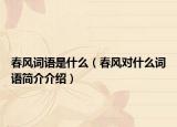 春风词语是什么（春风对什么词语简介介绍）
