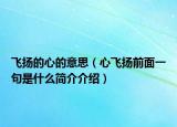 飞扬的心的意思（心飞扬前面一句是什么简介介绍）