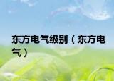 东方电气级别（东方电气）