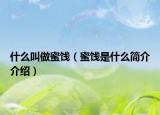 什么叫做蜜饯（蜜饯是什么简介介绍）