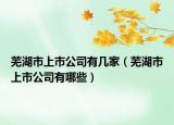 芜湖市上市公司有几家（芜湖市上市公司有哪些）