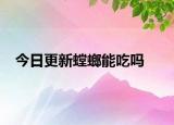 今日更新螳螂能吃吗
