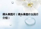 佛头果图片（佛头果是什么简介介绍）
