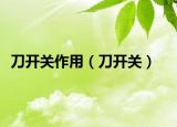 刀开关作用（刀开关）