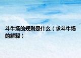 斗牛场的规则是什么（求斗牛场的解释）