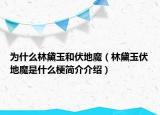 为什么林黛玉和伏地魔（林黛玉伏地魔是什么梗简介介绍）