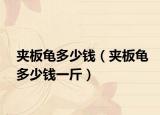夹板龟多少钱（夹板龟多少钱一斤）