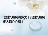 七到九级风有多大（八到九级风多大简介介绍）