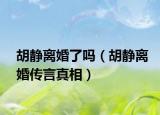 胡静离婚了吗（胡静离婚传言真相）