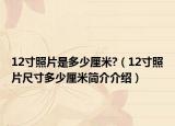 12寸照片是多少厘米?（12寸照片尺寸多少厘米简介介绍）