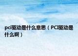 pci驱动是什么意思（PCI驱动是什么啊）