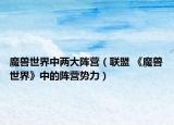 魔兽世界中两大阵营（联盟 《魔兽世界》中的阵营势力）