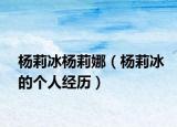 杨莉冰杨莉娜（杨莉冰的个人经历）