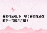 春去花还在,下一句（春去花还在的下一句简介介绍）