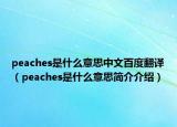 peaches是什么意思中文百度翻译（peaches是什么意思简介介绍）