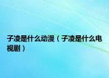 子凌是什么动漫（子凌是什么电视剧）
