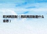 欧洲两田制（西欧两田制是什么意思）