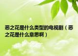 恶之花是什么类型的电视剧（恶之花是什么意思啊）