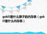 gskill是什么牌子的内存条（gskill是什么内存条）