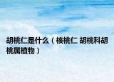 胡桃仁是什么（核桃仁 胡桃科胡桃属植物）