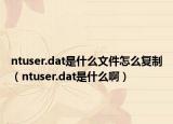 ntuser.dat是什么文件怎么复制（ntuser.dat是什么啊）