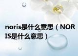 noris是什么意思（NORIS是什么意思）