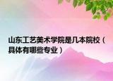 山东工艺美术学院是几本院校（具体有哪些专业）