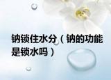 钠锁住水分（钠的功能是锁水吗）