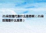 21朵玫瑰代表什么意思啊（21朵玫瑰是什么意思）