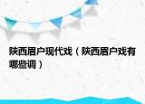 陕西眉户现代戏（陕西眉户戏有哪些调）
