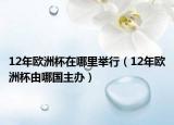 12年欧洲杯在哪里举行（12年欧洲杯由哪国主办）