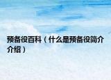 预备役百科（什么是预备役简介介绍）