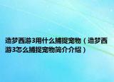 造梦西游3用什么捕捉宠物（造梦西游3怎么捕捉宠物简介介绍）