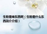 生粉是啥东西啊（生粉是什么东西简介介绍）