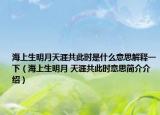 海上生明月天涯共此时是什么意思解释一下（海上生明月 天涯共此时意思简介介绍）