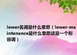 lower名词是什么意思（lower-maintenance是什么意思这是一个形容词）
