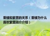重楼和紫萱的关系（重楼为什么喜欢紫萱简介介绍）