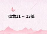 盘龙11 ~ 13部