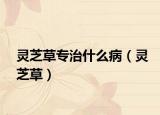 灵芝草专治什么病（灵芝草）