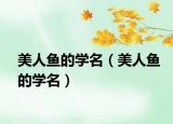 美人鱼的学名（美人鱼的学名）