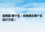 春熙路 哪个区（春熙路在哪个区简介介绍）