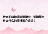 什么的精神填词语填空（词语填空什么什么的精神简介介绍）