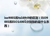 iso9001和ts16949的区别（ISO9001和ISO14001分别指的是什么东西）