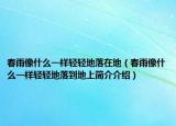 春雨像什么一样轻轻地落在地（春雨像什么一样轻轻地落到地上简介介绍）